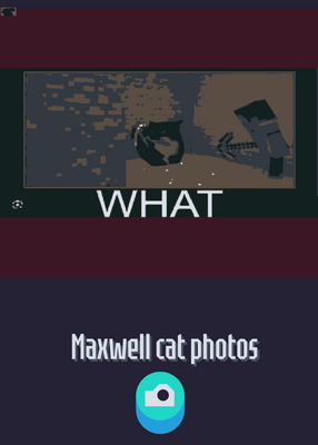 snapshot