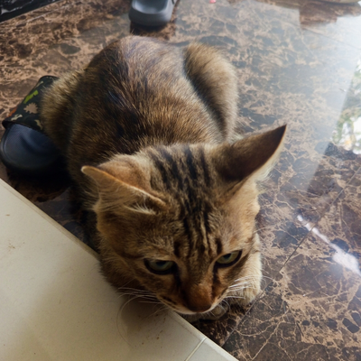 @rrrrrrrrawr