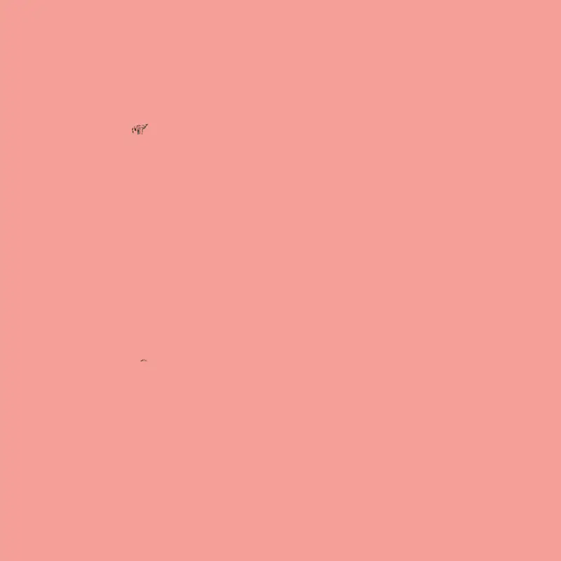 Animation by @XavielRamirez
