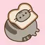pancakes_lovers avatar
