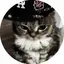 NotSlayer avatar