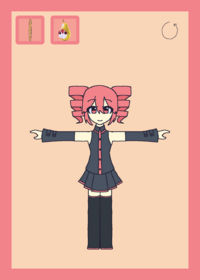 Teto ragdoll
