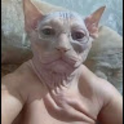 @katsaye_fan