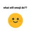 emoji124816 avatar