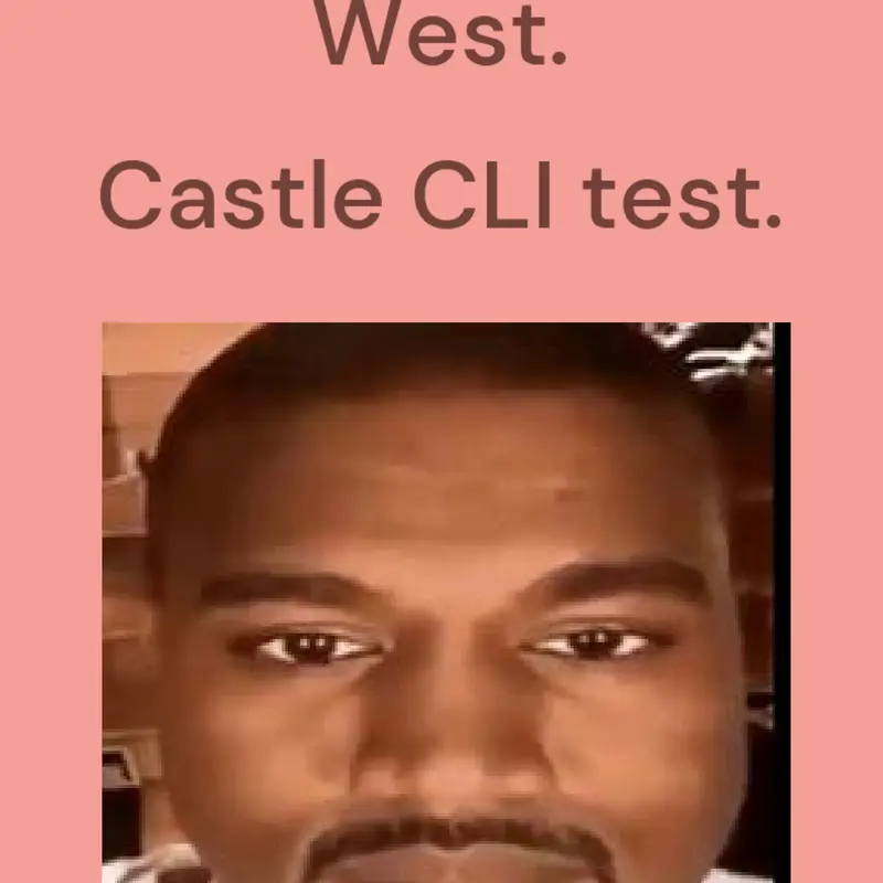 Castle CLI test. by @Animation_Dude