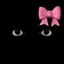 -D3M0N-1N-UR-R00M- avatar