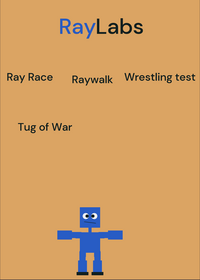 Raylabs