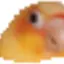 90090 avatar