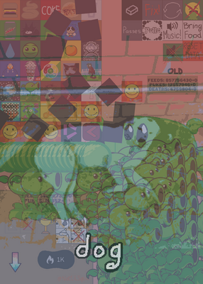 snapshot