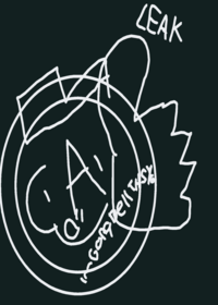Oops I Think I Leaked Something