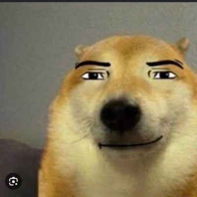 @anydog_ce