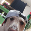 what_is_my_user_again avatar