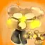 Kitkat_oreoo avatar