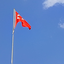 Turkish_Profile81 avatar