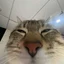 KUROMI_nAKETuK avatar