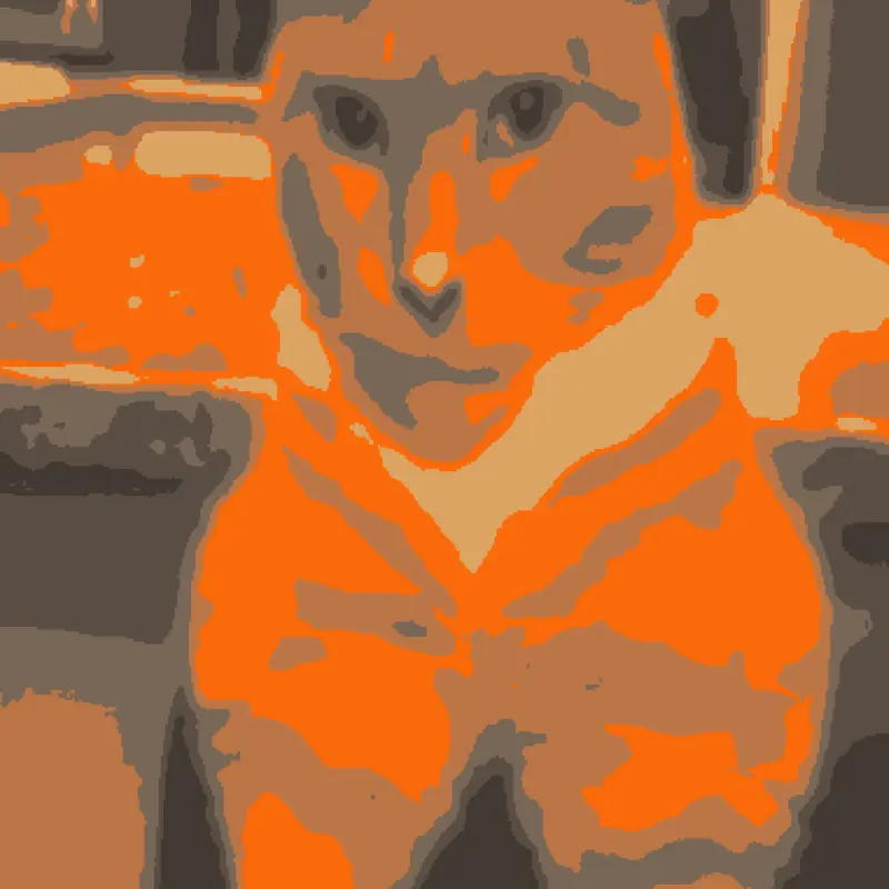 Cat Animation by @Kavanoz43