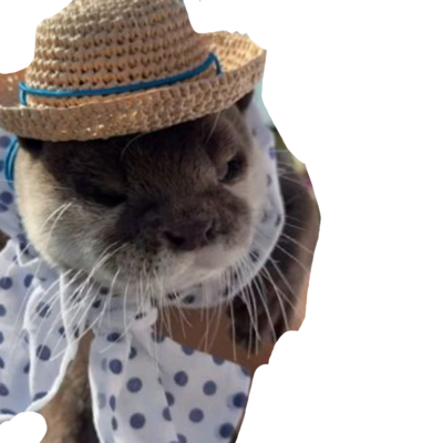 @you_local_otter