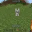 Perro446 avatar