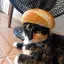 bread-Studios avatar