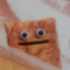 @hamboi