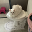 catonthetoilet avatar