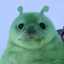 foca_Alien avatar