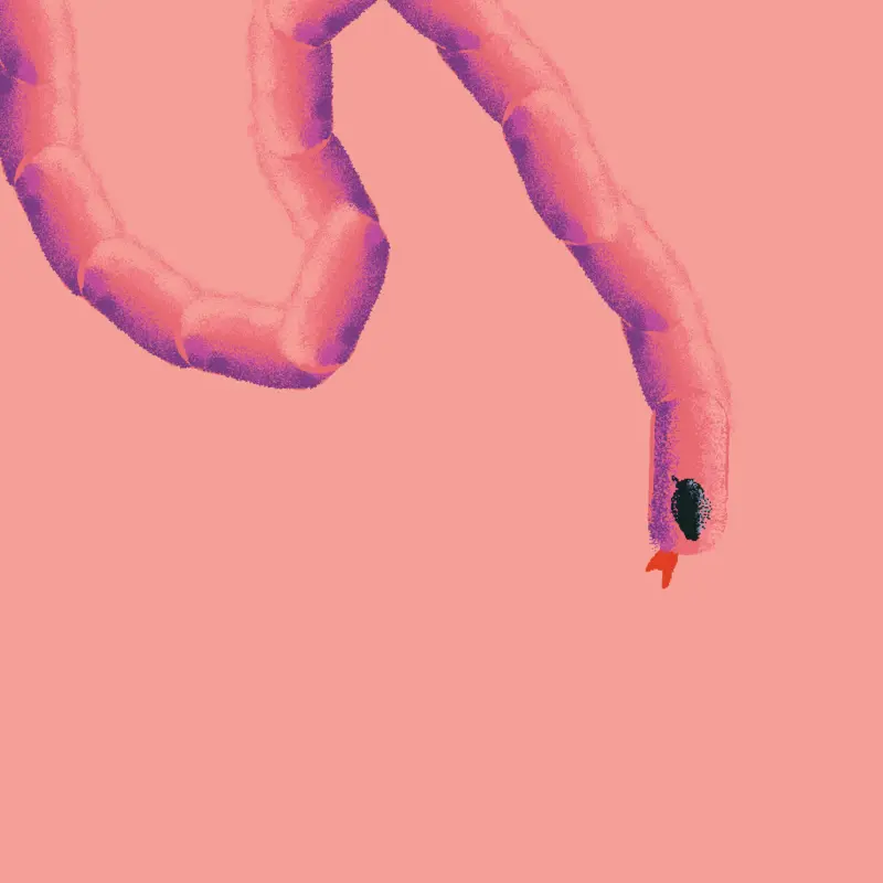 Game by @secretagentxintern