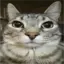 Regaldthecatwithcastle avatar