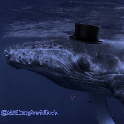 @MrHumpbackGuy