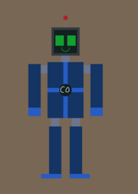 Roboco the regdoll