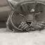 My_Sweet_Cat avatar