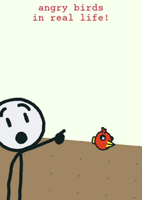 angry birds in real life!