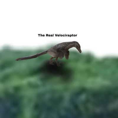 @TheRealVelociraptor