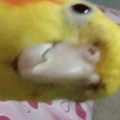 @Ciko_TurkishBorbyguy