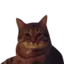 catgeasre avatar
