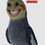 MaxiTheCat_Official avatar
