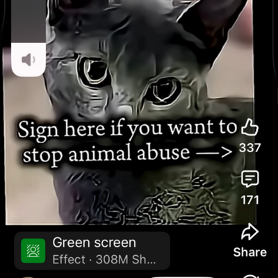 @cat_lover999
