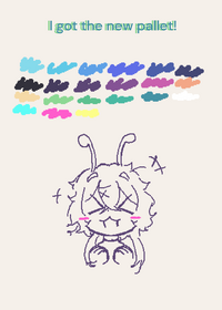 New pallet