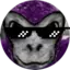 proldd avatar