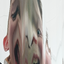 Kotchas avatar