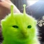 s0urgumm13z avatar