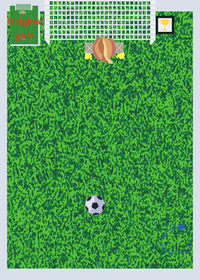 Soccer gam