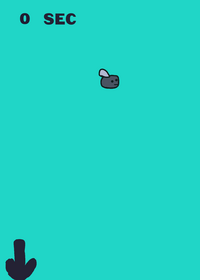 Fly!