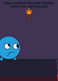 Puffer fish