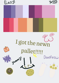 I got the new pallet