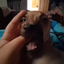 WDoggy avatar