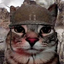 RaddyCastle avatar
