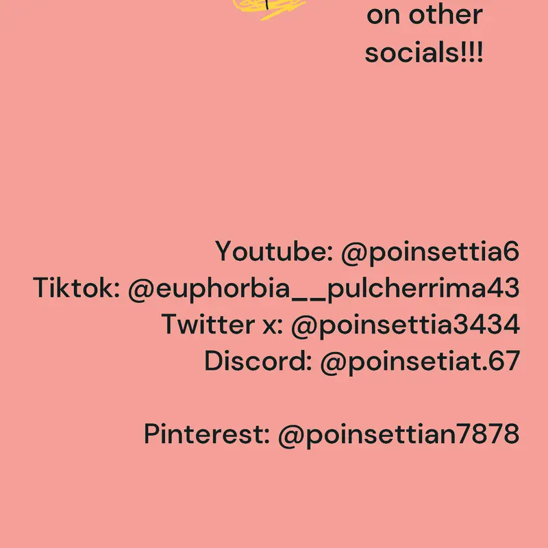 Game by @chickekblaziken8967