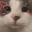 -_lomka_lomba_- avatar
