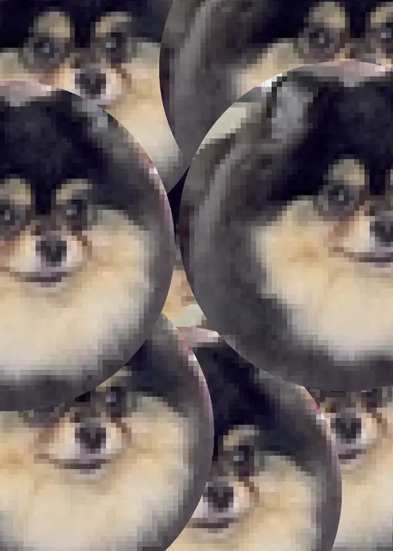 Game by @Pomeraniancute